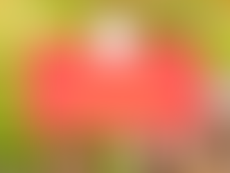 Budget: 7 Baby Steps - Dave Ramsey