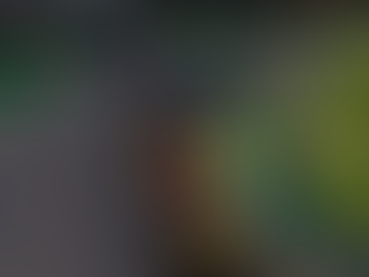 Watch F1 in Ubud: A Guide for Formula 1 Fans Visiting Bali