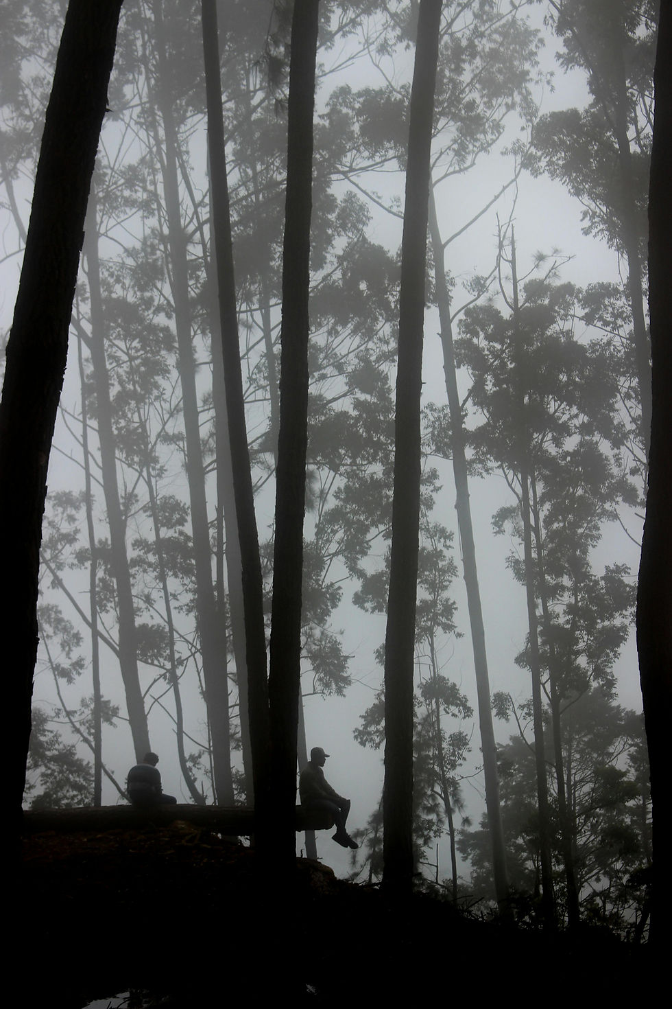 Cyclone Ditwah and the New Climate Reality