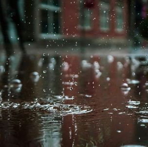 US: Frequent Wildfires and Extreme Rainfall