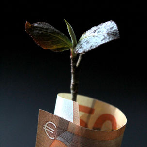Green Economy and Sustainable Investments