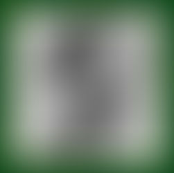 Pier Luigi Sacco: Digital Cultural Environment