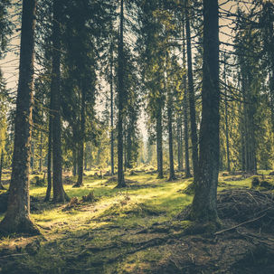 Unchecked climate change could destroy the natural wonders of the world’s ‘biodiversity hotspots’