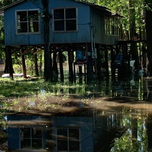 USA: The Road to True Grid Resilience