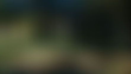 USA: The Road to True Grid Resilience