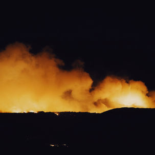 War, the killer of the environment
