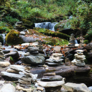 Who now owns Nepal’s forests?
