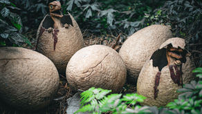 Why the long-running Jurassic Park franchise has always had an ecological message