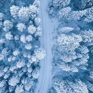 A look back at The Day After Tomorrow