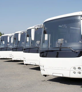 Autobuses blancos estacionados