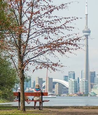 older adult sitting on a park bench against the backdrop of the Toronto city skyline