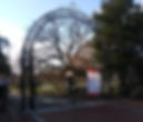 Congressional Cemetery Gate, Photo by Author