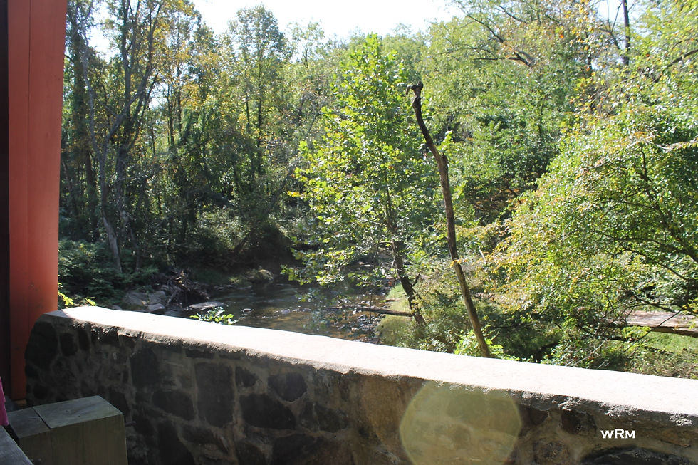 View of the river from the bridge. Photo by Author 2021
