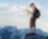 mutation organisations_edited_edited.png