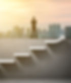 mutation organisations_edited_edited.png