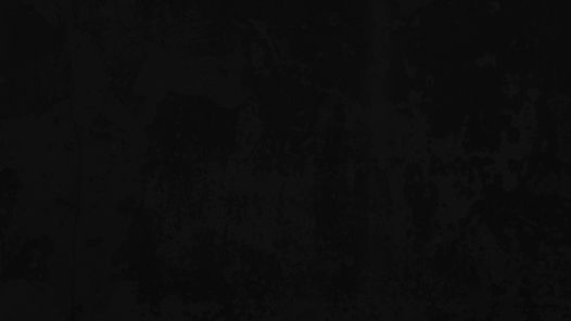 Blotched Background_edited.jpg