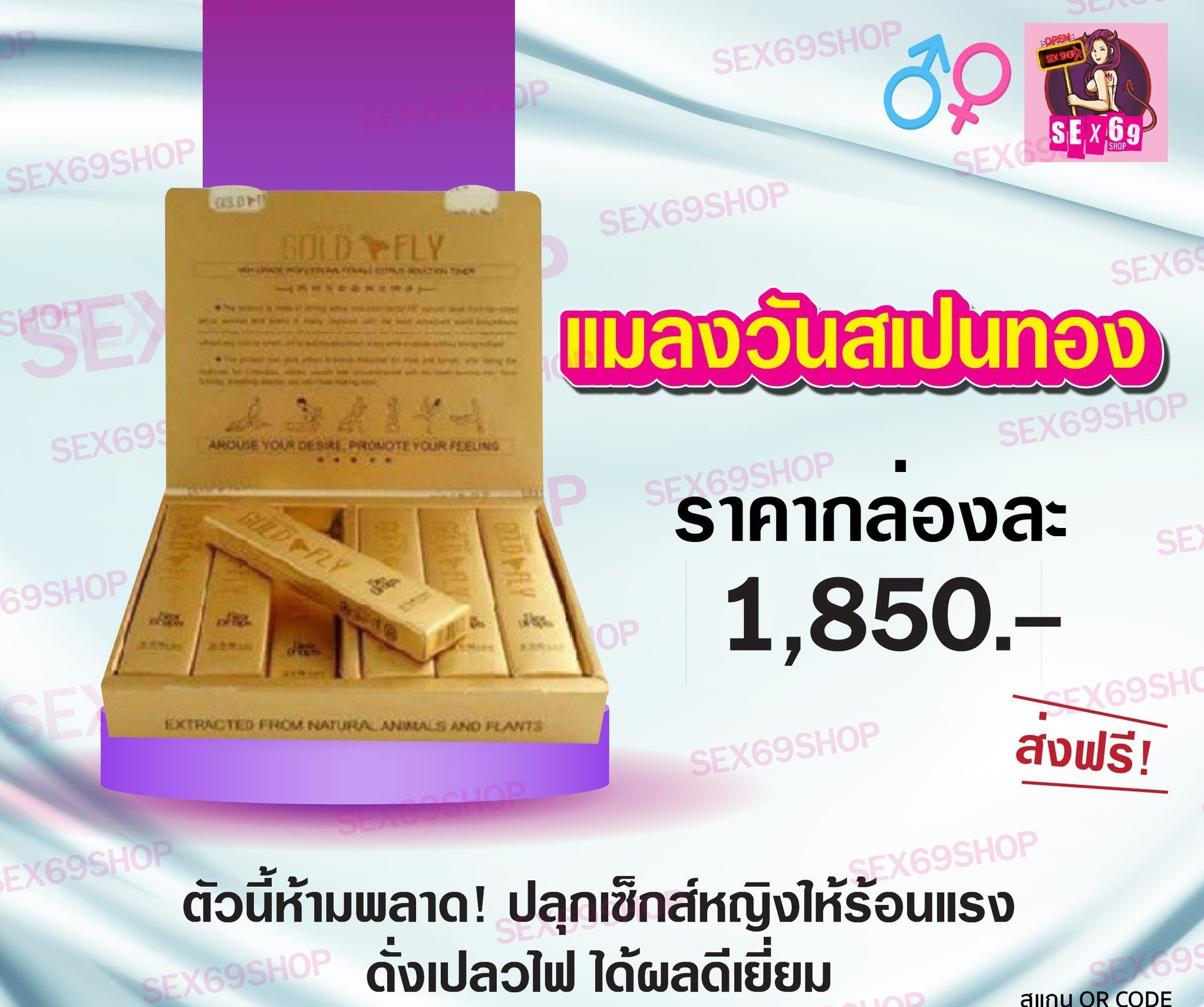 SPANISH GOLD FLY แมลงวันสเปนทอง