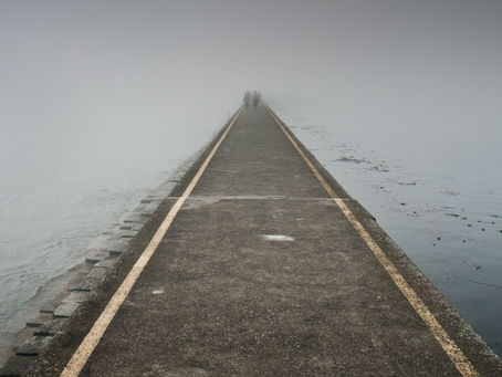 The unpredictable journey.