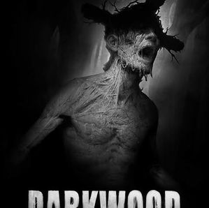 Darkwood Review