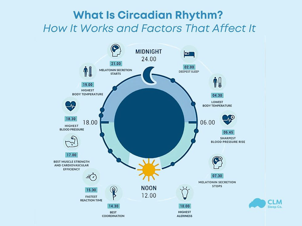 Infographic titled "What Is Circadian Rhythm?" showing a 24-hour cycle with key body functions, blue background, sun symbol at noon.