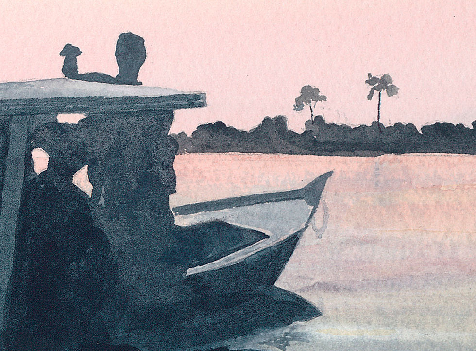 Thumbnail: Daybreak on the Amazon