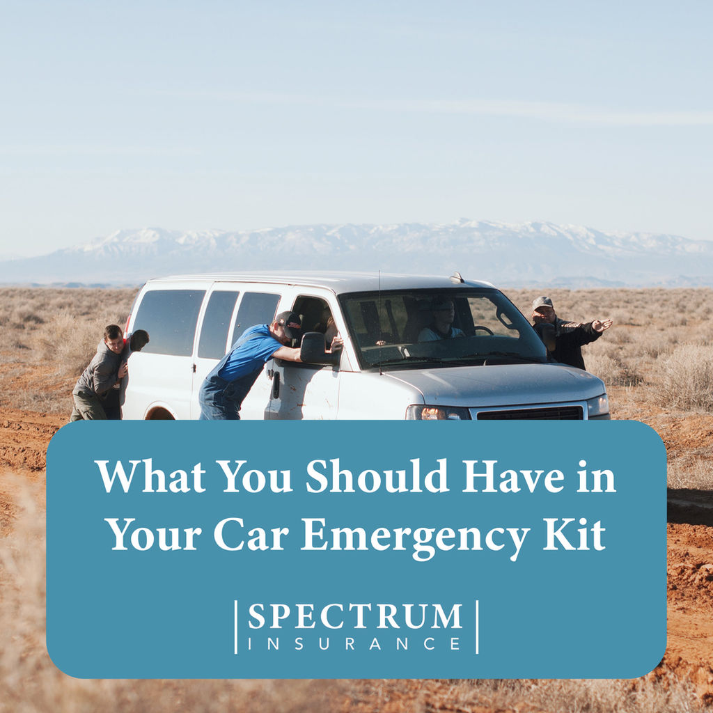 Auto Insurance Spectrum Insurance