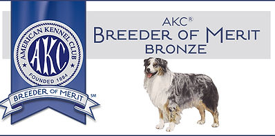 AustShepBronzeBoM_Banner.jpg