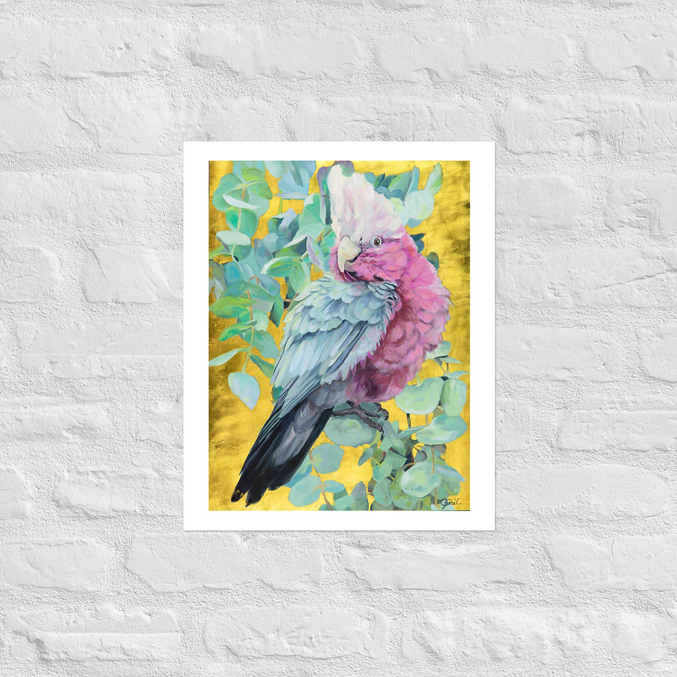Galah bird painting, Awaiting the Light paper reproduction