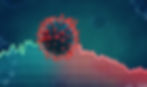 coronavirus 3