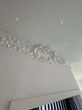 image00023.jpeg