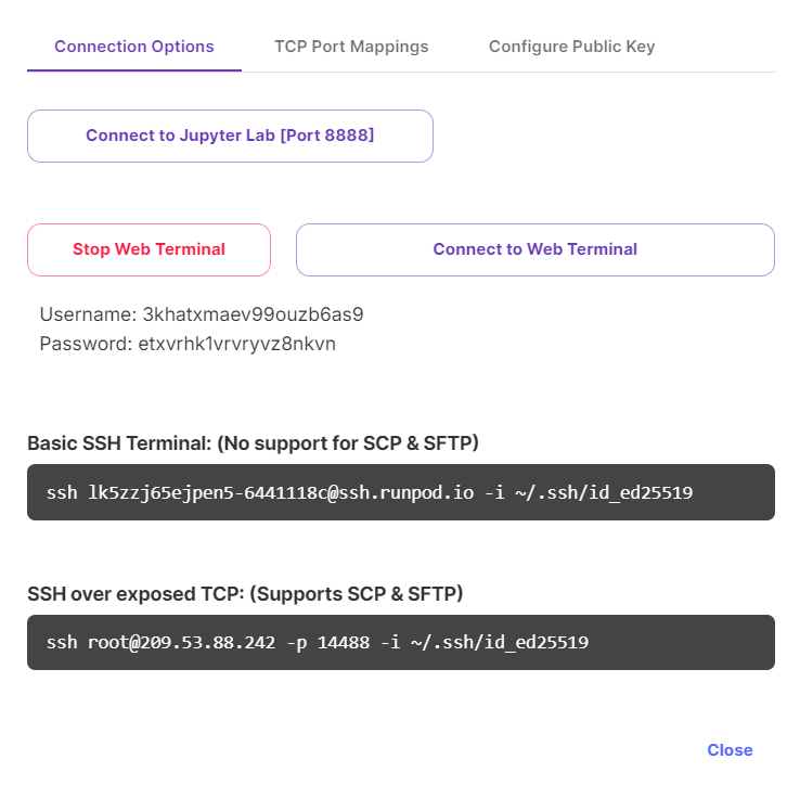 RunPod - Connection Options