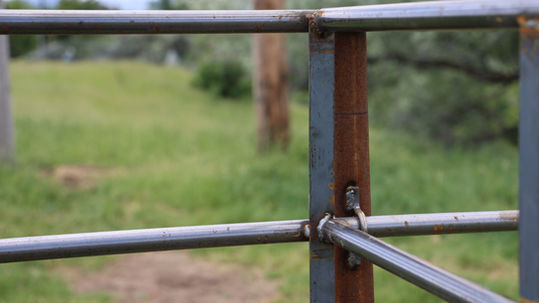 Installed Continuous Fence End Caps