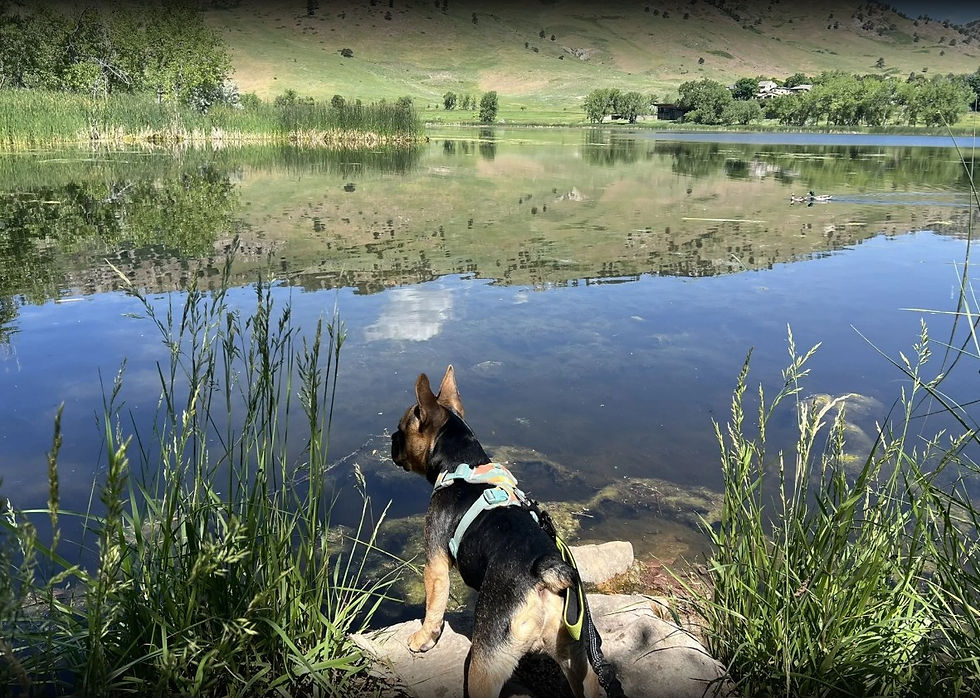 Photo courtesy of Lacey Zachary, AllTrails (June 18, 2025)