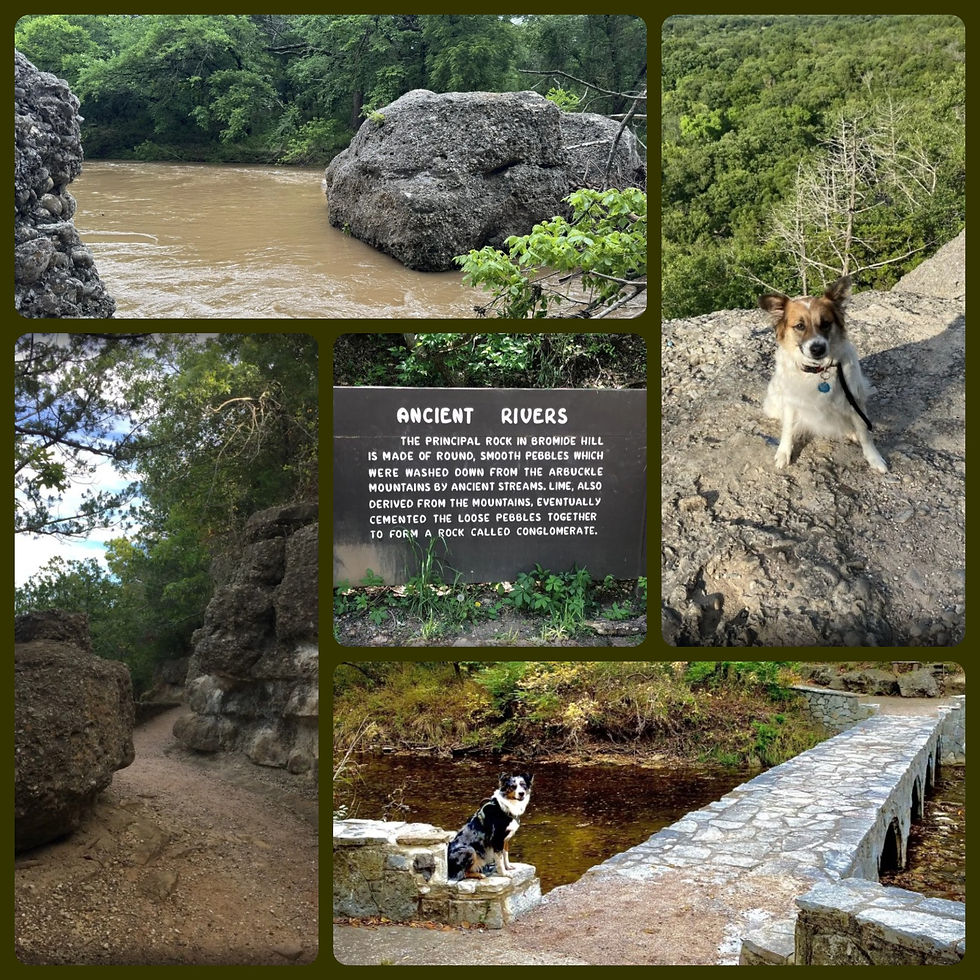 Photos by alltrails.com