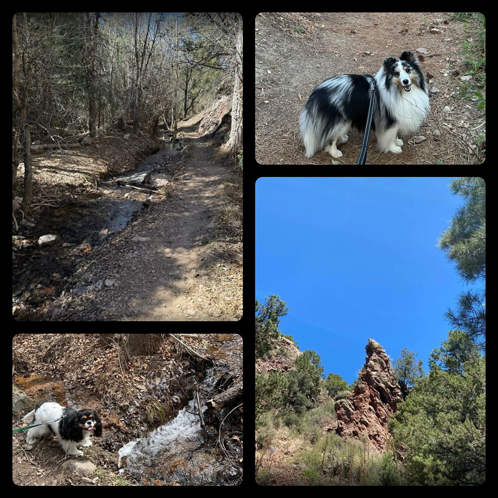 Photos by AllTrails.com