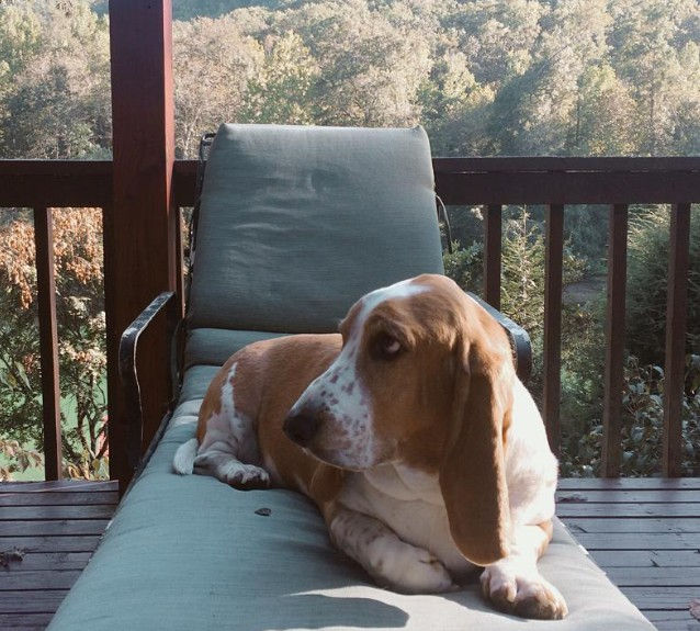 Photo Courtesy of Little Red Tree House, @wrenandrosefloral, Instagram (October 2, 2015)