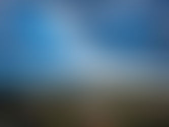 Scampering Canines Go to Silver City, New Mexico