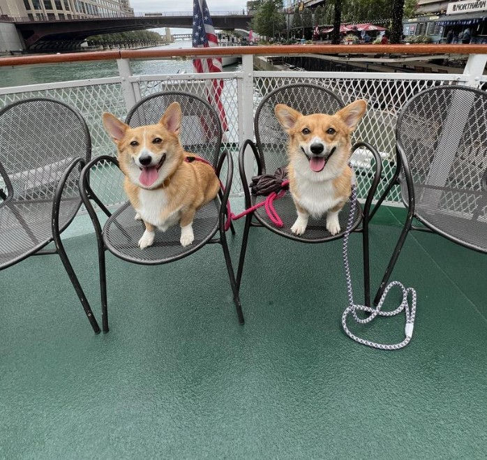 Photo by BringFido.com