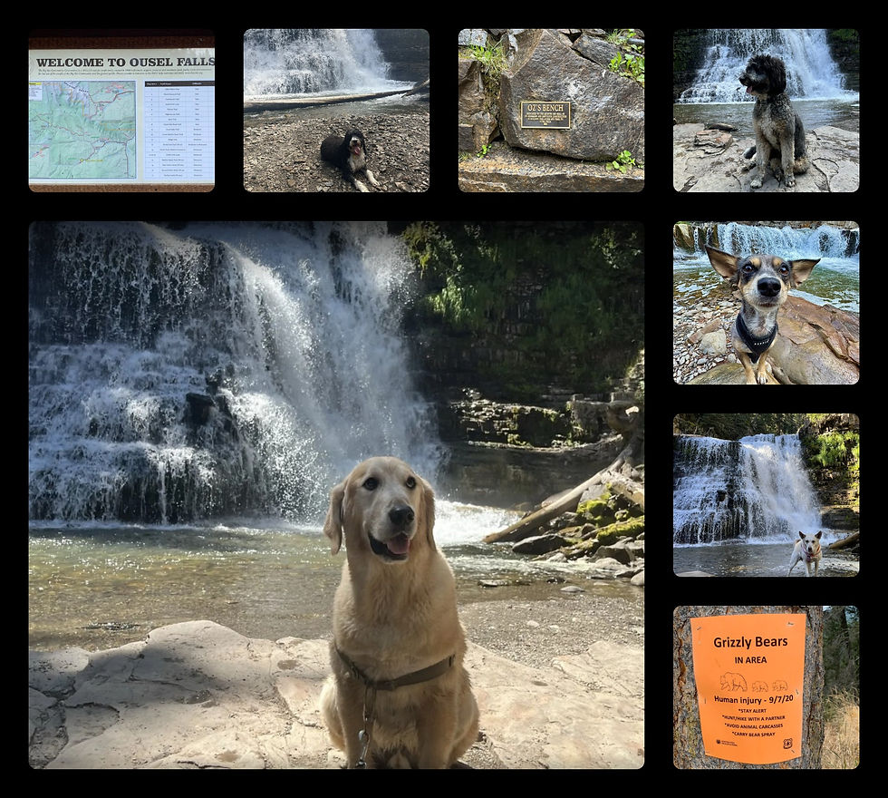 Photos by AllTrails.com
