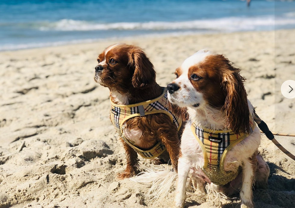 Photo by Facebook.com