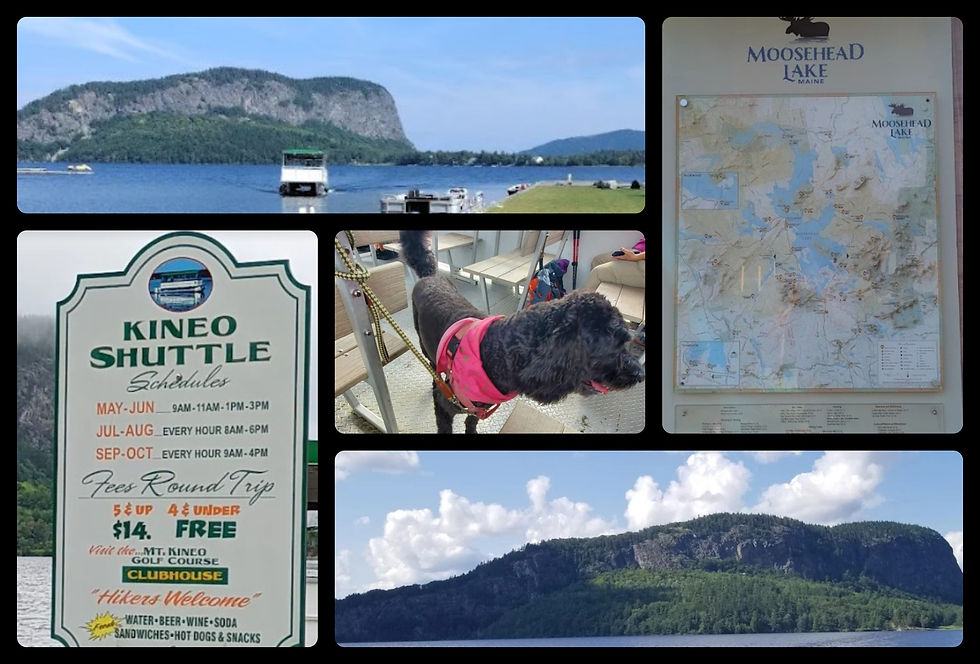 Photos by Google Reviews