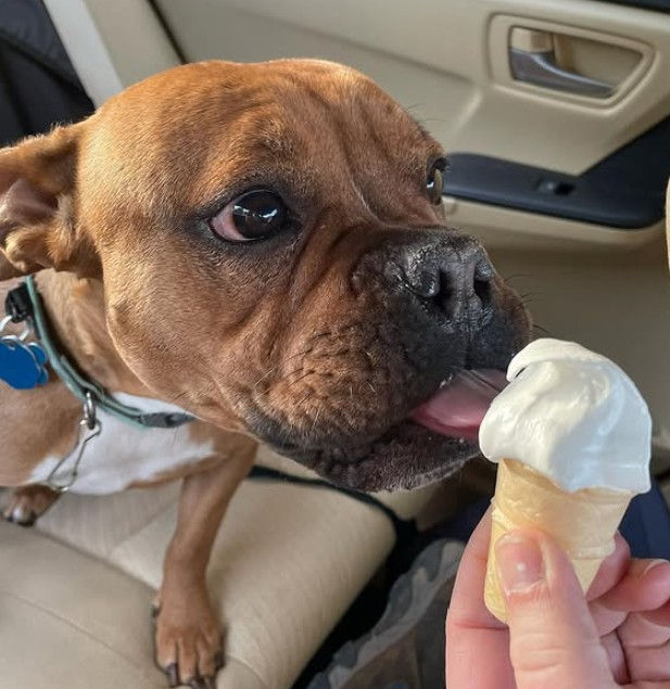 Photo courtesy of @a.winkle_in.time, Instagram (March 15, 2022)