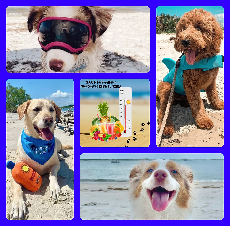 Photos by Instagram.com