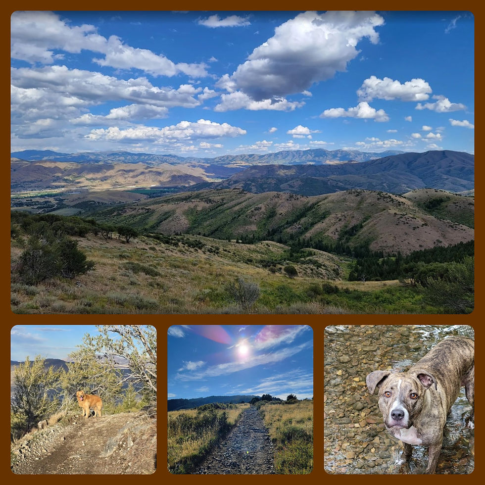 Photos by AllTrails.com