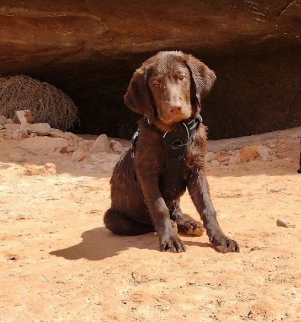 Photo courtesy of Gregery Bennett, Google Reviews