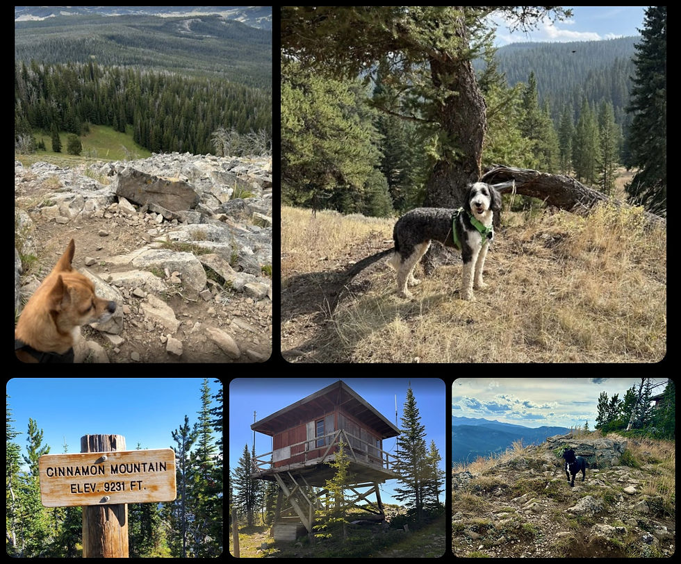 Photos by AllTrails.com
