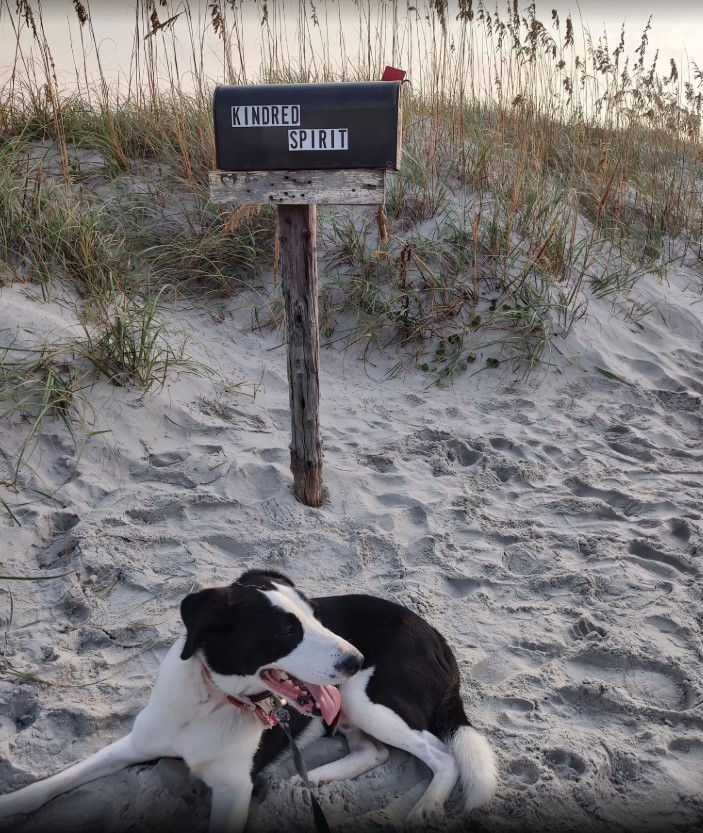 Photo by alltrails.com