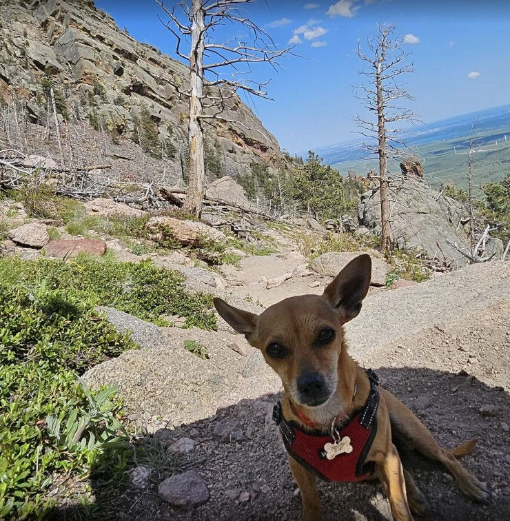 Photo courtesy of Stephanie Romero, AllTrails (June 28, 2024)