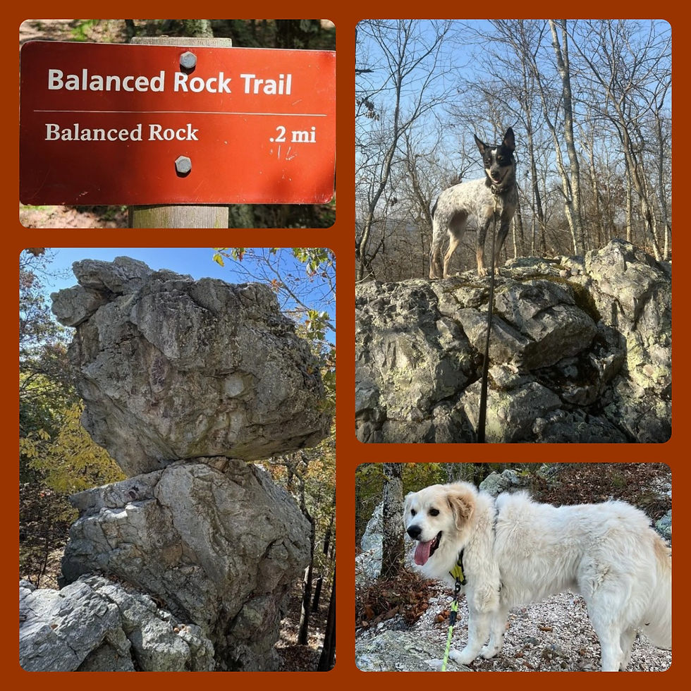 Photos by Google Reviews.com and AllTrails.com
