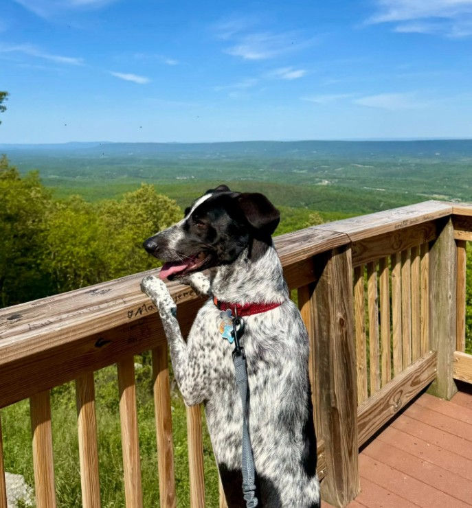 Photo by: Jocelyn Bassler, Facebook (May 11, 2025)